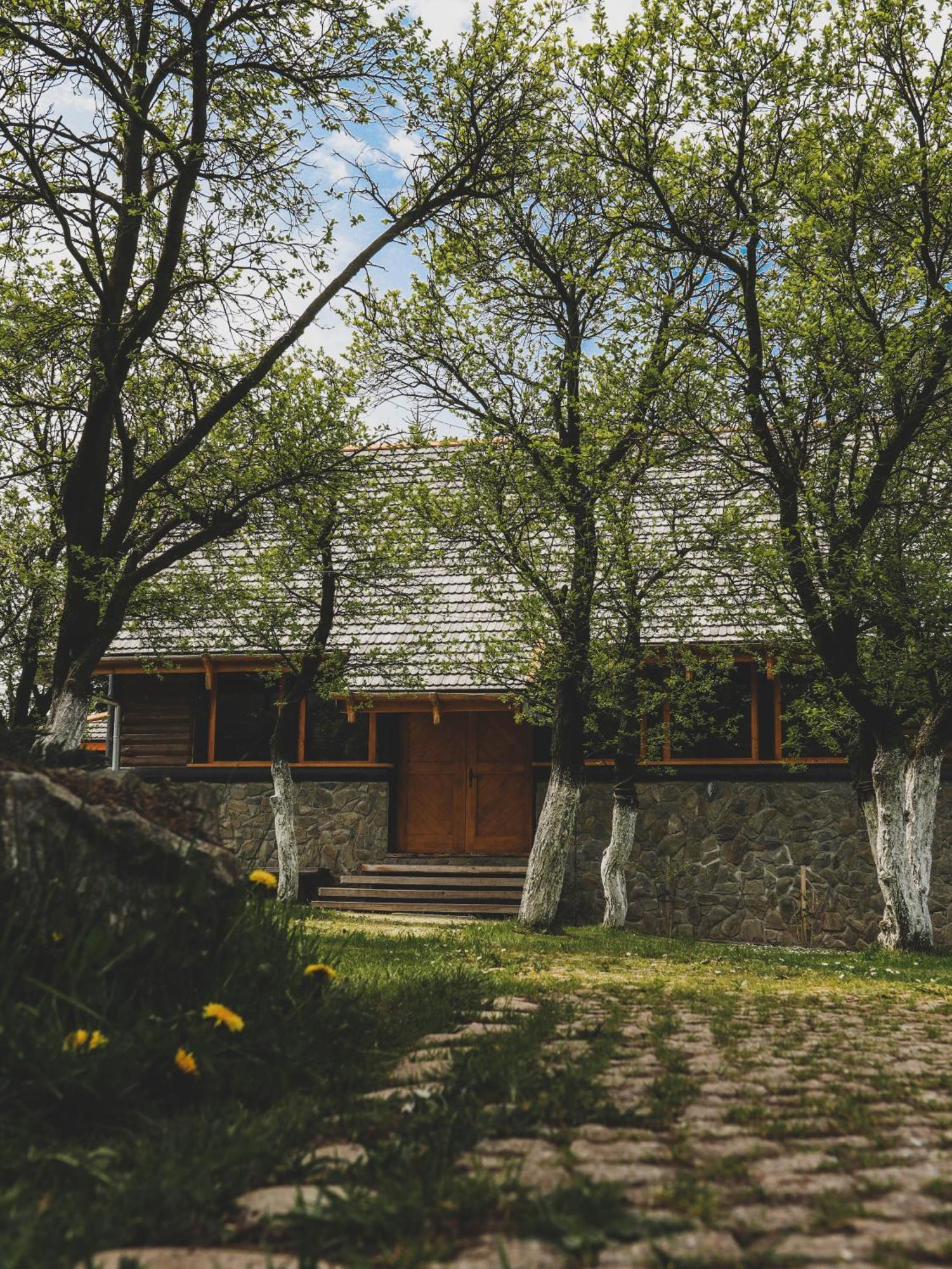 Karkonoska Drewniana Chata Kamienna Gora Zewnętrze zdjęcie